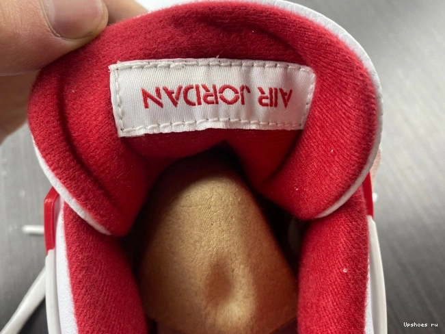 Jordan 308497-106 Retro Alternate 4 89 0311